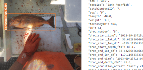 Fish Sampling Computer Vision